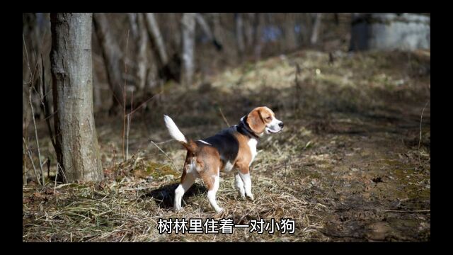 退一步海阔天空#关注我每天分享不同的故事