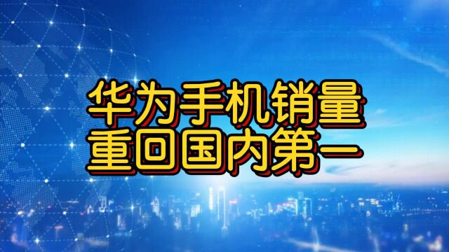 华为重返国内手机销量榜首,谁会变成others?