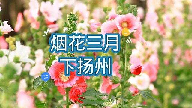 经典歌曲《烟花三月下扬州》