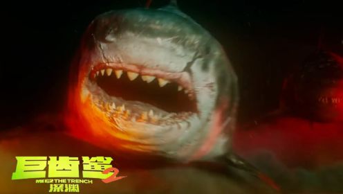 《巨齿鲨2》惊心动魄的海底冒险，人类肉搏深海鲨鱼
