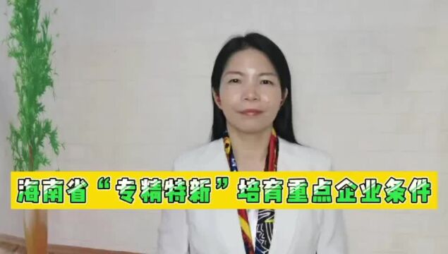 海南省“专精特新”培育重点企业条件