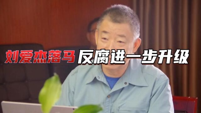 刘爱杰落马!仅4年成国际副主席,中国反腐由足坛正式进入全体育