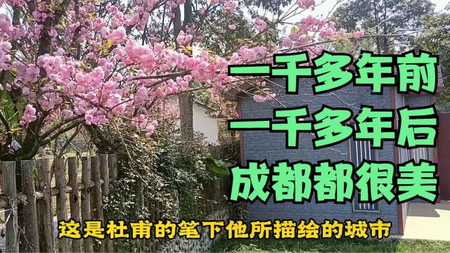 成都幸福田园之春,天气太好五谷轮回之所旁也让人想起杜甫的诗