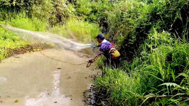 荒野水塘无人问津,小伙一网撒下网中顿时不安分了