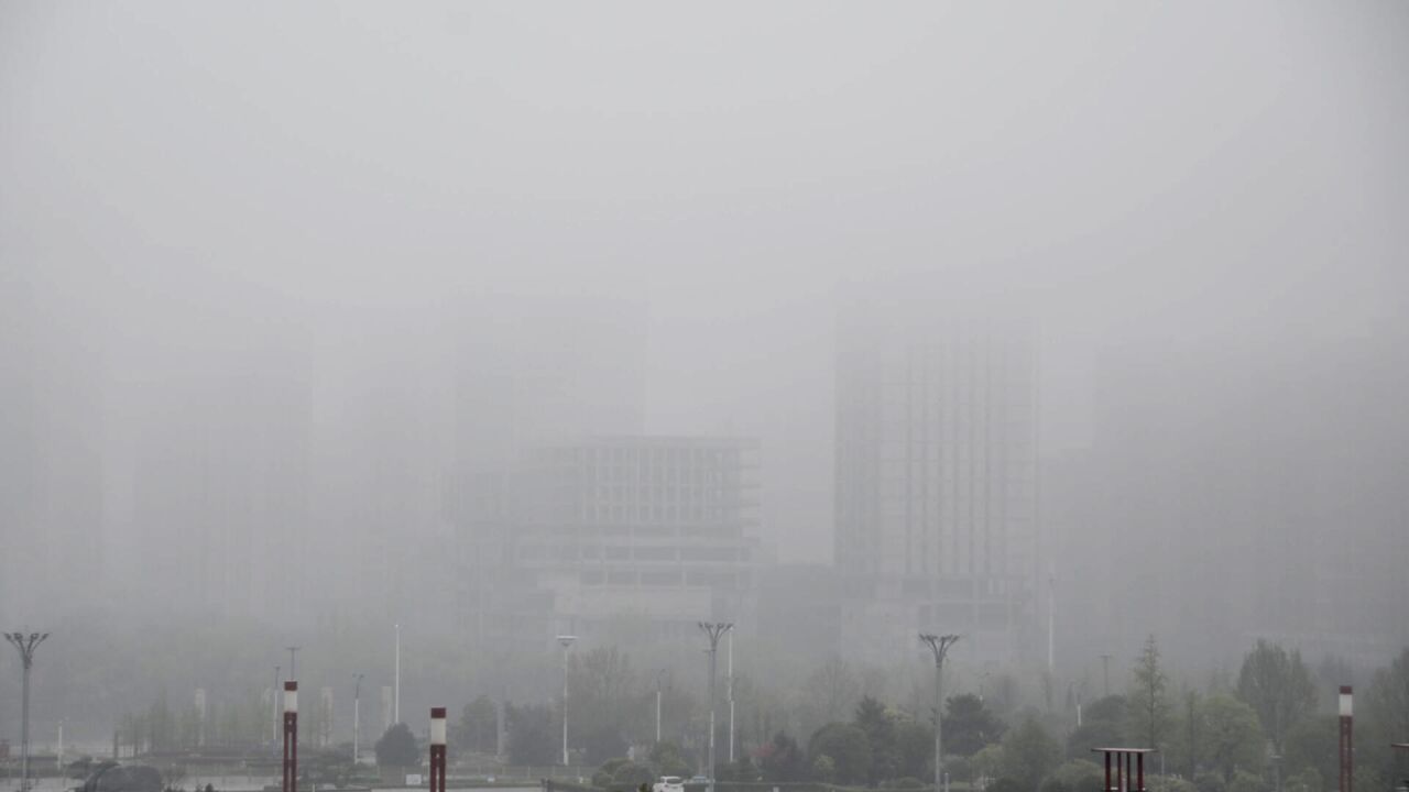 降雨来袭!枣庄今日份营业“朦胧美”