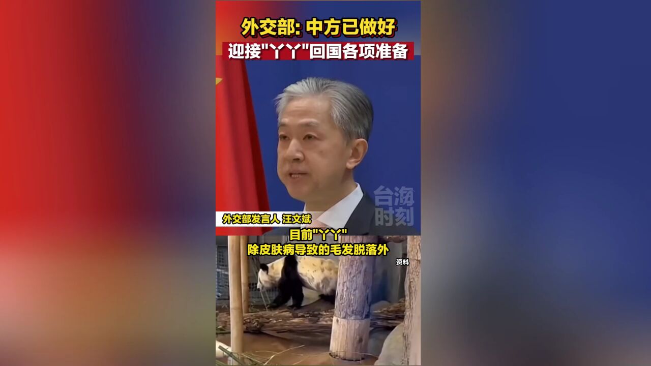 中方已做好迎接“丫丫”回国各项准备!