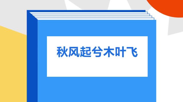 带你了解《秋风起兮木叶飞》