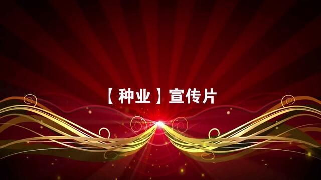 这是河北种业的一个标杆企业,为农民致富,种子高产立下汗马功劳 #企业宣传片 #企业宣传短片 #宣传片