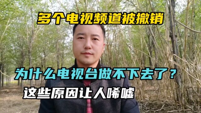 多个电视频道被撤销,为什么电视台做不下去了,这些原因让人唏嘘