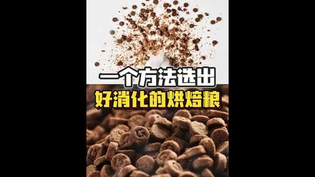 吃烘焙粮容易呕吐?试试这个方法!高爷家烘焙粮真的好酥脆!#高爷家烘焙粮 #高爷家