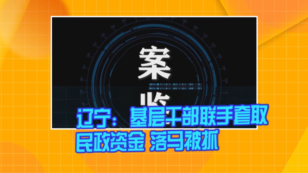 辽宁:基层干部联手套取民政资金 落马被抓