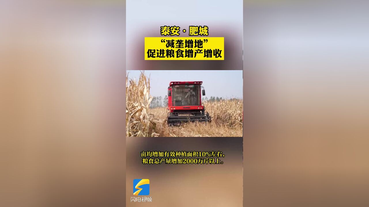 世界粮食日丨肥城:“减垄增地”促进粮食增产增收