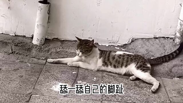 微风不燥,阳光正好