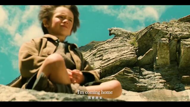 经典英文歌曲《Coming Home》,很多人都喜欢的曲风