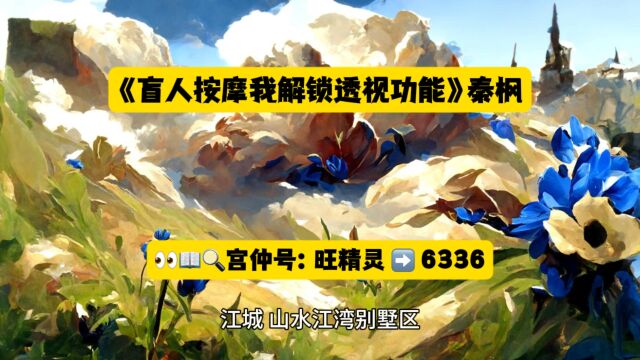 《盲人按摩我解锁透视功能》秦枫全文在线阅读◇无删减