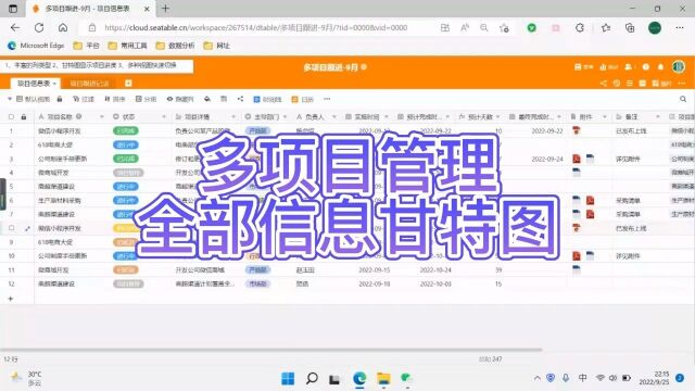 多项目管理,一个表格搞定全部