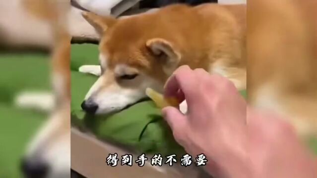 把烦恼都忘掉