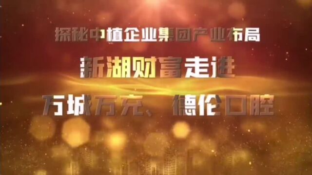 新湖财富开展了“走进集团核心资产系列|相遇广州”活动