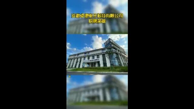 安徽卓湛电子科技有限公司招聘简章