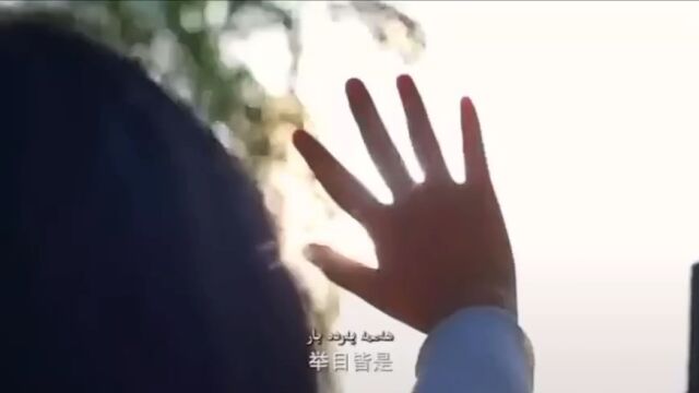 关于版权,你知道多少?