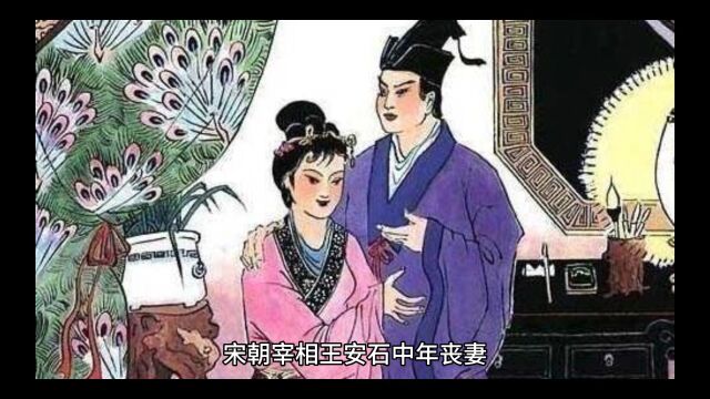 王安石是丞相吗?