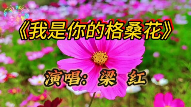 梁红的一首《我是你的格桑花》深情伤感,催人泪下