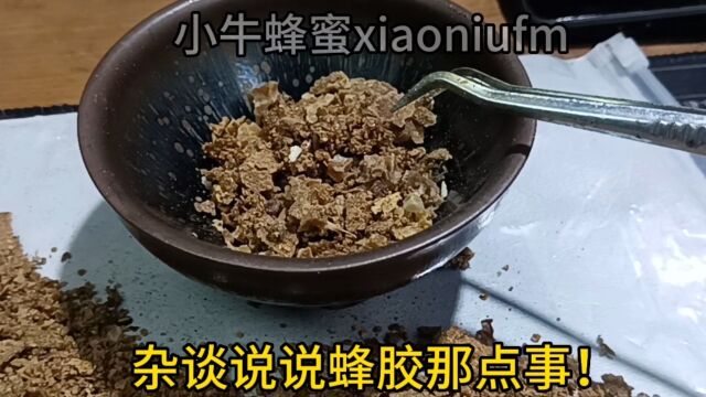 杂谈说说蜂胶那点事儿蜂胶的品质纯度好坏杂质等蜂胶怎么选择挑选哪种蜂胶好处作用与功效果原胶怎么吃蜂胶泡酒#蜂胶 #蜂王浆 #蜂蜜 蜂花粉小牛蜂蜜蜂...