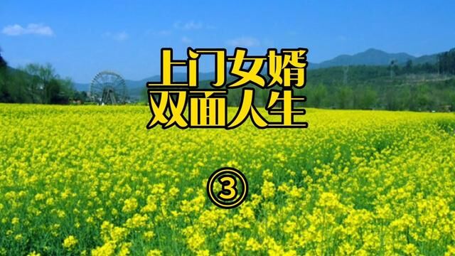 四川省广元市2013年6月9日《上门女婿的双面人生》③