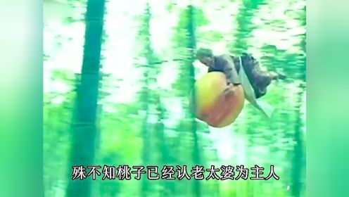 新桃太郎2：老太婆在河边捡到一个800斤仙桃，生出一个胖娃娃