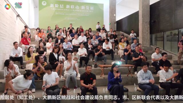 深圳市大鹏新区举办新的社会阶层人士助力高质量发展主题交流活动