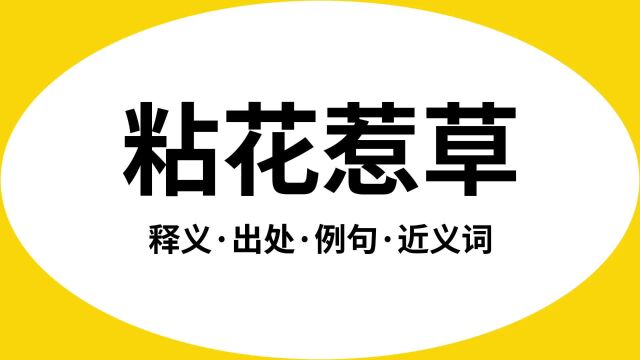 “粘花惹草”是什么意思?