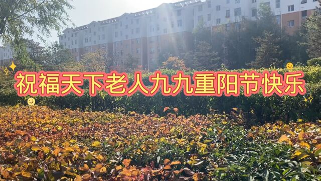 重阳节的大同市景色