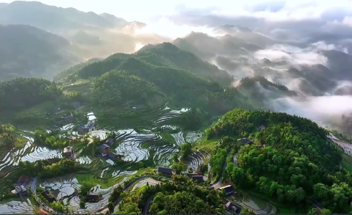 红视频|紫鹊界梯田:水满田畴 夏日胜景