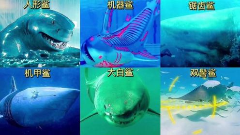 影视里的六版鲨鱼谁最强？大白鲨怎么也没想到这次遇到了对手。#海洋生物 #保护海洋 #鲨鱼 #巨齿鲨 #机甲鲨