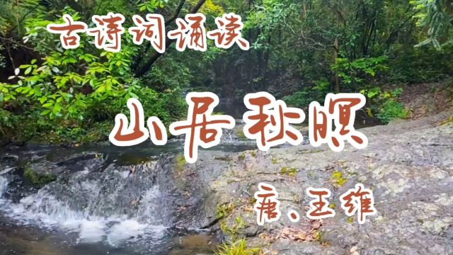 古诗词诵读:《山居秋暝》唐.王维