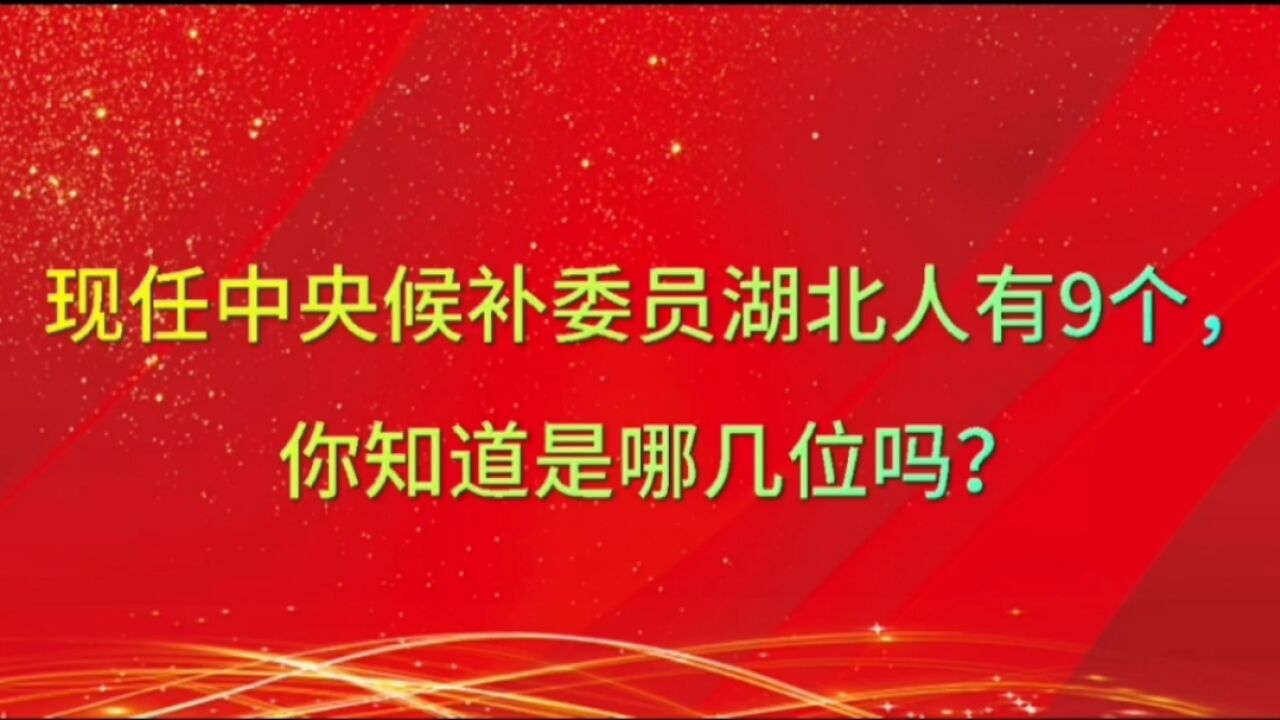 现任中央候补委员湖北人有9个,你知道是哪几位吗?