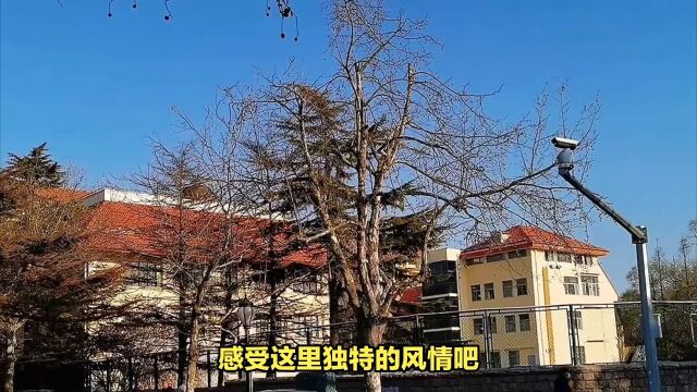 青岛旅游攻略1025