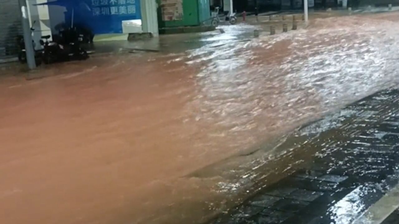 今日凌晨深圳迎暴雨!最大雨量破历史记录,街道严重积水变“河流”