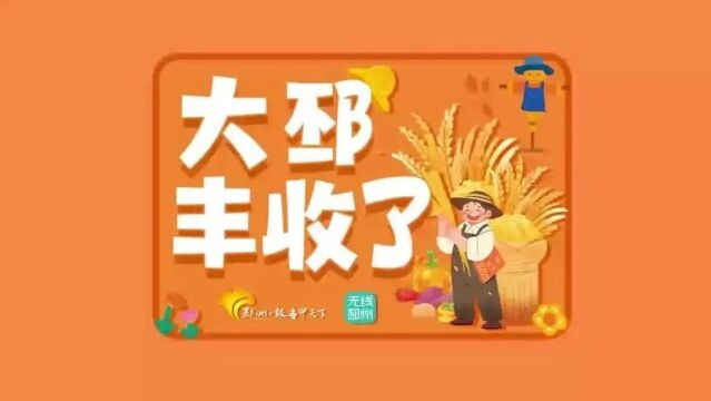 早安,邳州|听见稻香;格桑花开;流感报告;费用下调