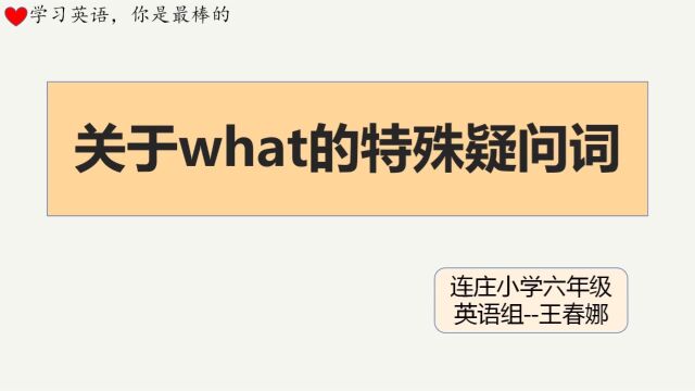 关于what的特殊疑问词