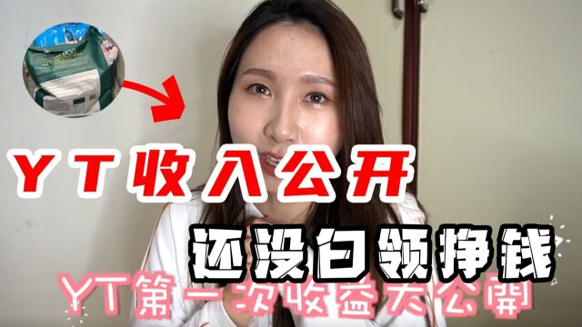 第01期:YT收入大公开经营半年第一份YouTube的收入?竟然还没有白领挣的多?这个数字你可能永远想不到!