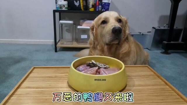 「土豆日记」万恶的鸭腿又来啦