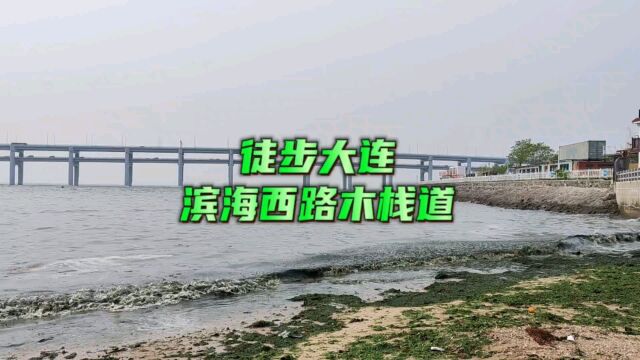 徒步大连:滨海西路木栈道