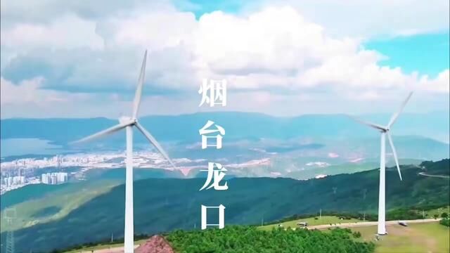 千年紫藤已经盛开,山东烟台龙口福地南山,期待你来.#vlog旅游