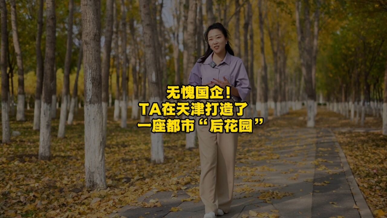 无愧国企!TA在天津打造了一座都市“后花园”