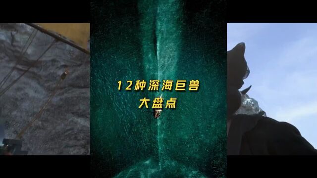 这12种深海巨兽,你都见过哪些呢