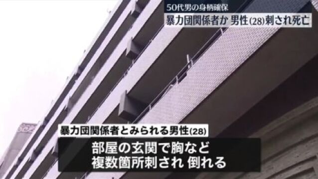 【看新闻 学日语】日本黑社会成员被刺死