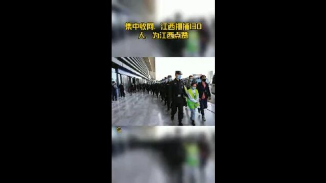 集中收网,江西抓捕130人,为江西点赞