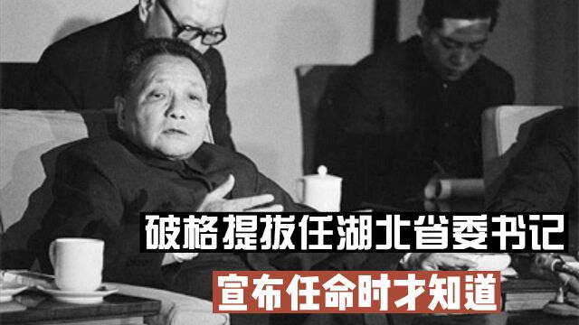 83年邓小平慧眼识人,将一名厅级干部提为正部级,此人什么来头?