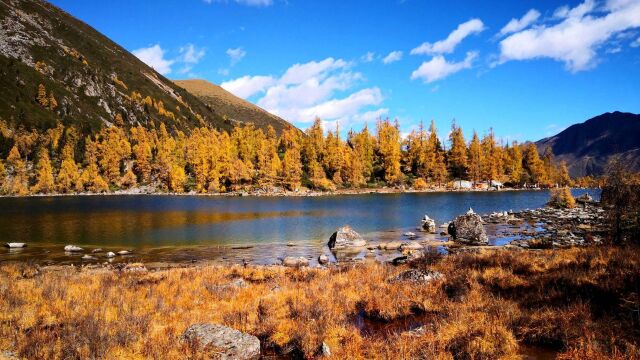 透过车窗看到外面的风景,每一片树叶,每一个湖泊,都写满了大自然的味道